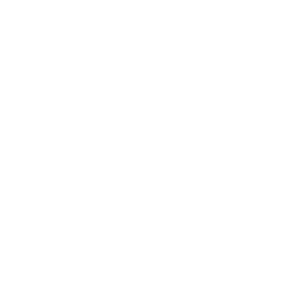 Dark Mode Logo