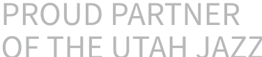 Partner Icon
